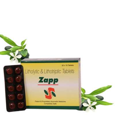 Zapp Tablet – (Kidney Function Promoter)