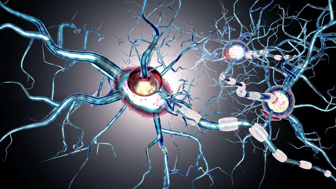 multiple-sclerosis-affects-nerve-cells